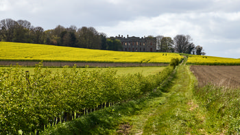 This landscape photograph captures Sutton Scarsdale Hall, a prominent historical landmark, set against vibrant rapeseed fields during the spring afternoon. The scene highlights the agricultural activity in the region, with the bright yellow rapeseed flowers covering rolling hills. The abandoned stately home of Sutton Scarsdale Hall is nestled in the background, framed by a line of trees, while a grassy track leads the eye through the cultivated countryside. The clear spring sunlight enhances the lush greenness of the hedgerows and the striking color of the rapeseed, emphasizing the rural and agricultural character of the area.